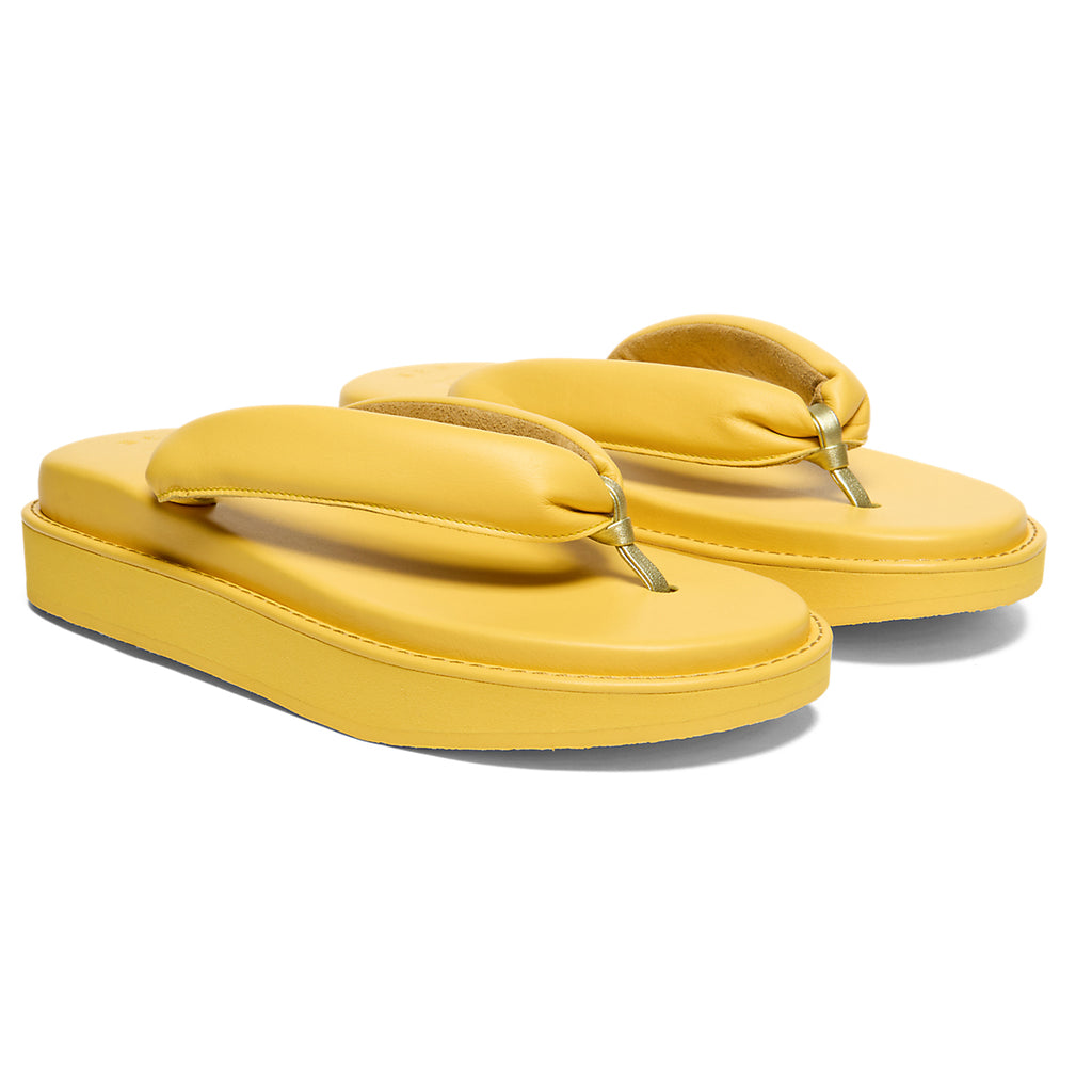 TIGER SETTA NM - SUNFLOWER YELLOW / SUNFLOWER YELLOW - view 2