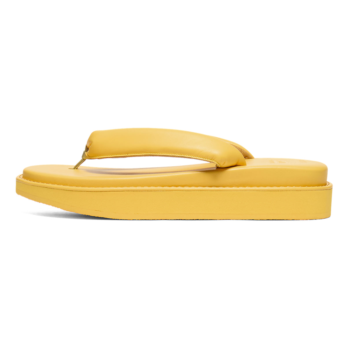 TIGER SETTA NM - SUNFLOWER YELLOW / SUNFLOWER YELLOW - view 8