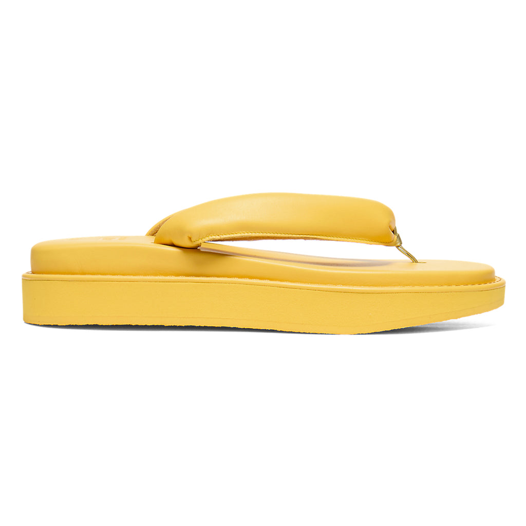 TIGER SETTA NM - SUNFLOWER YELLOW / SUNFLOWER YELLOW - main view