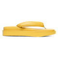 TIGER SETTA NM - SUNFLOWER YELLOW / SUNFLOWER YELLOW - main view
